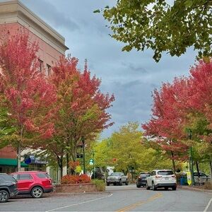 Meet your Posher, Christy